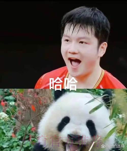 《熊猫说球》第四集：球员